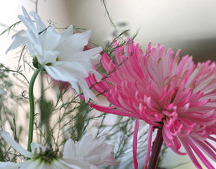 4_Digital_marketing_ideas_for_Mother’s_Day