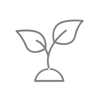 Plant growing icon