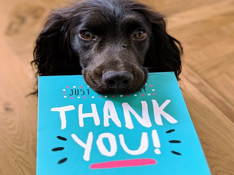 8 Proven Ways To Say Thank You To Customers & Prospects