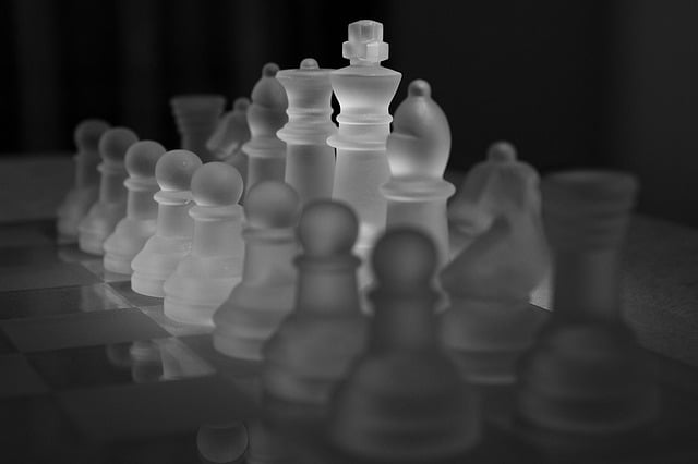chess-1145557_640.jpg