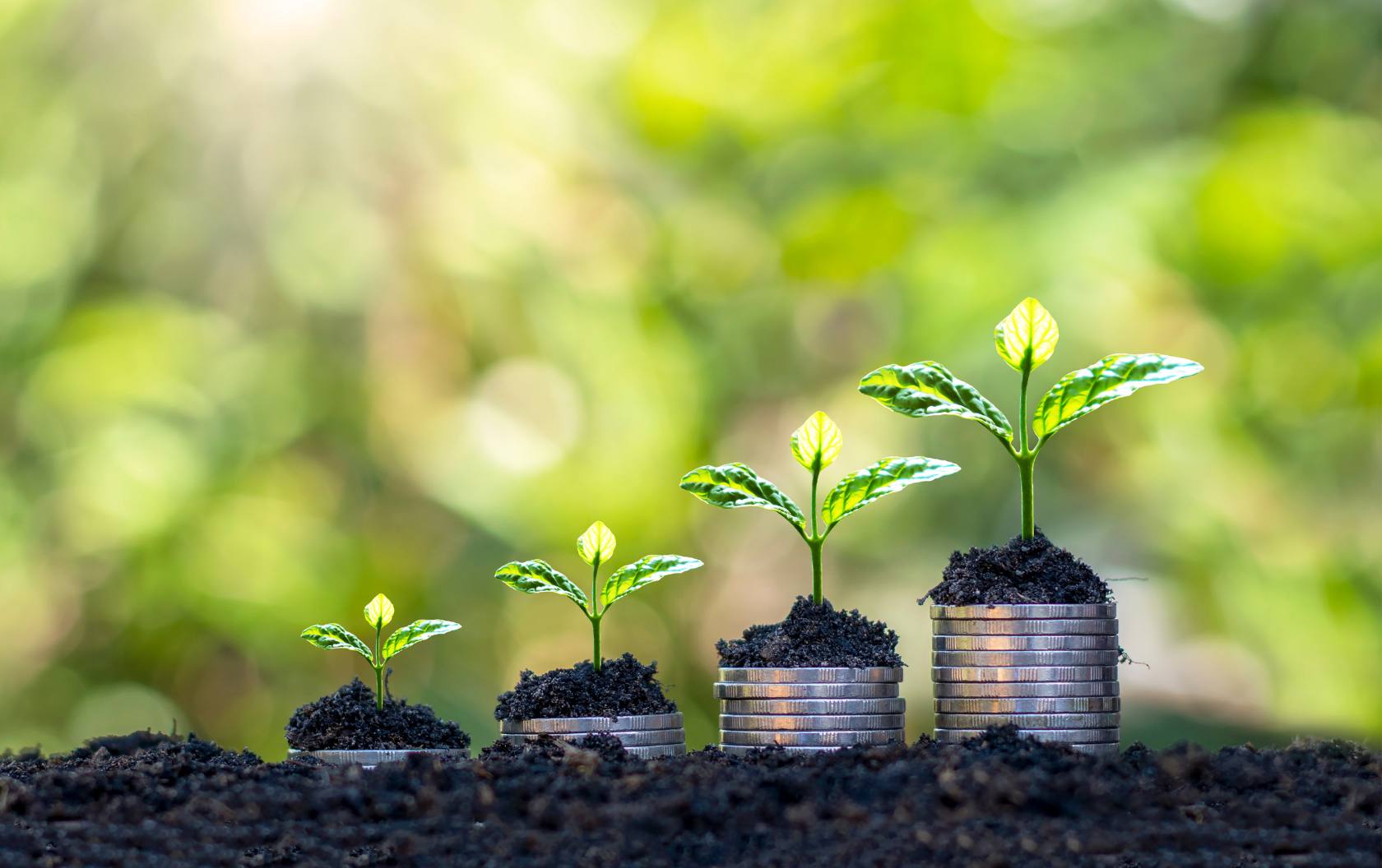 Four seedlings that belong to a business owner sitting on stacks of coins each getting taller in size from left to right just as their business grows in operational efficiency. 