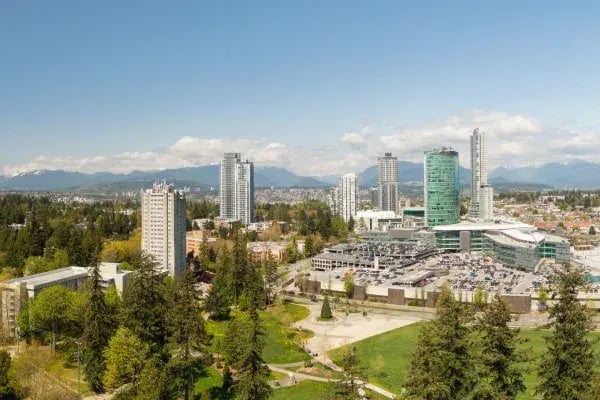 Digital Marketing Services In Surrey