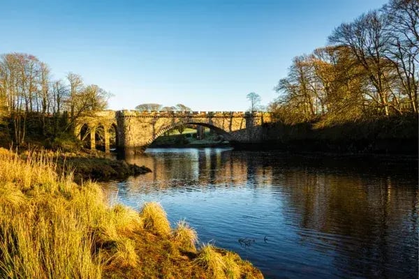 Digital Marketing Services In Telford & Shropshire