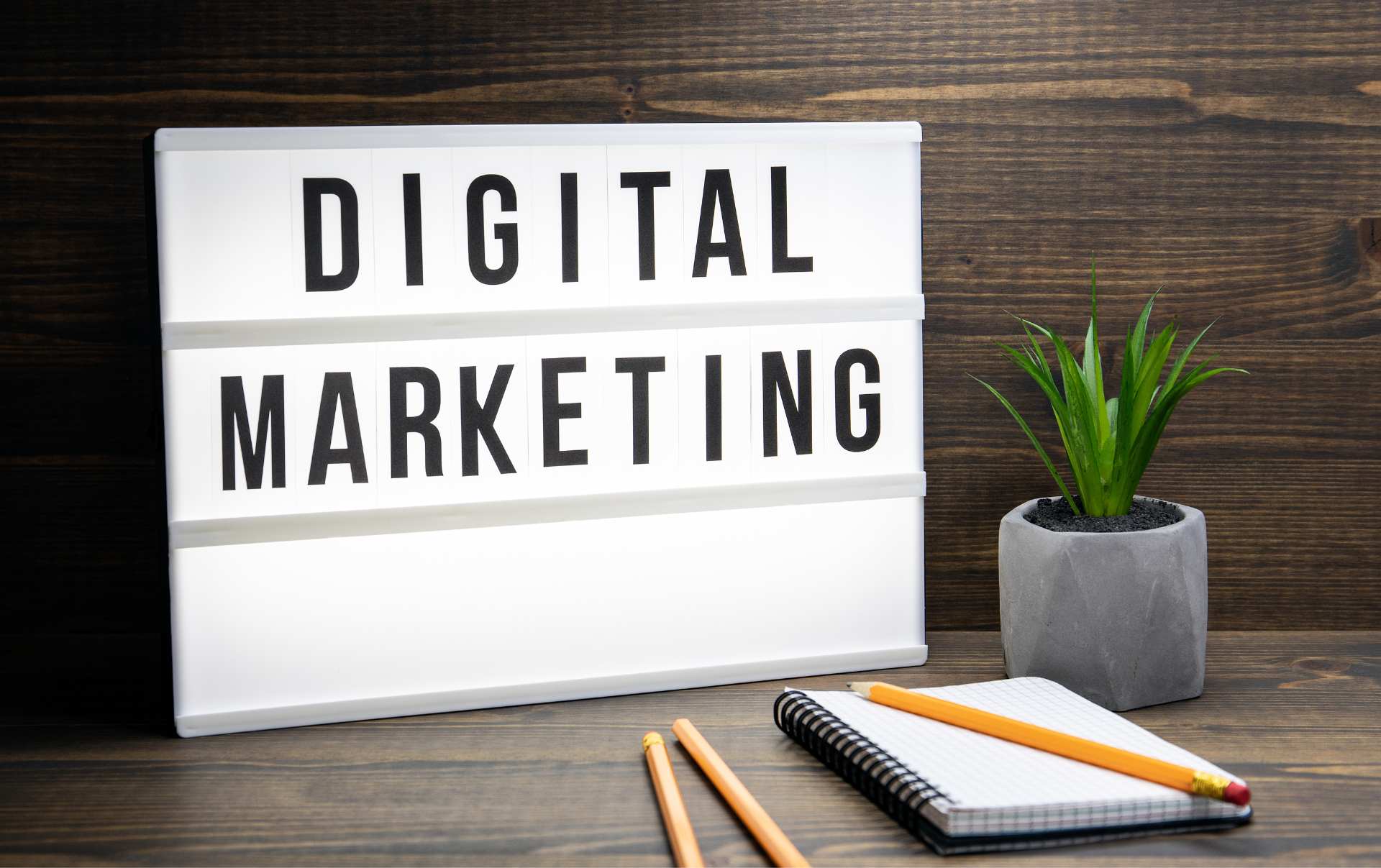 A small business owners notepad and pencils on a desk with a small house plant with notes of their digital marketing strategy in the notepad 