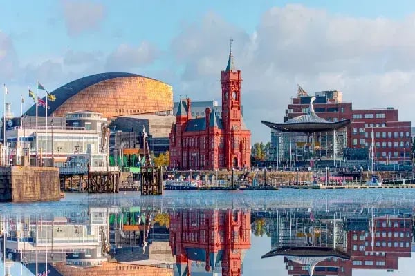 More Than Just Web Design In Cardiff
