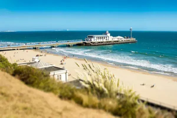 Ppc Management Services In Bournemouth