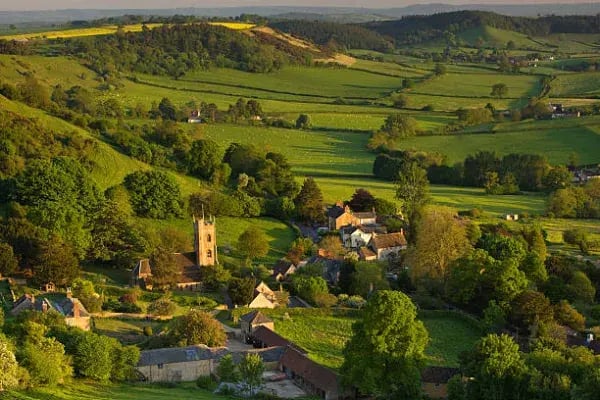 Seo In Somerset