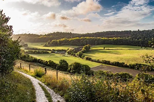 Seo In Surrey