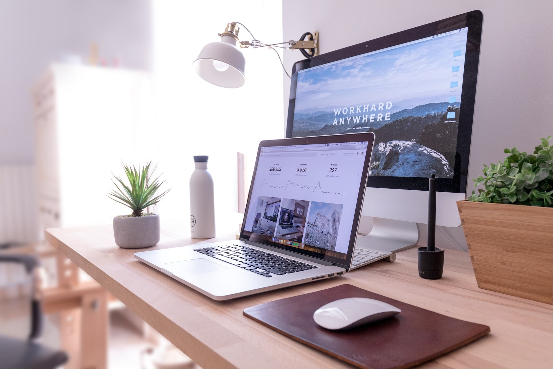 The laptop and desktop of a B2B business owner on a desk with a waterbottle and plant both with high quality images on the screens as the business owner chooses the best image to post on social media