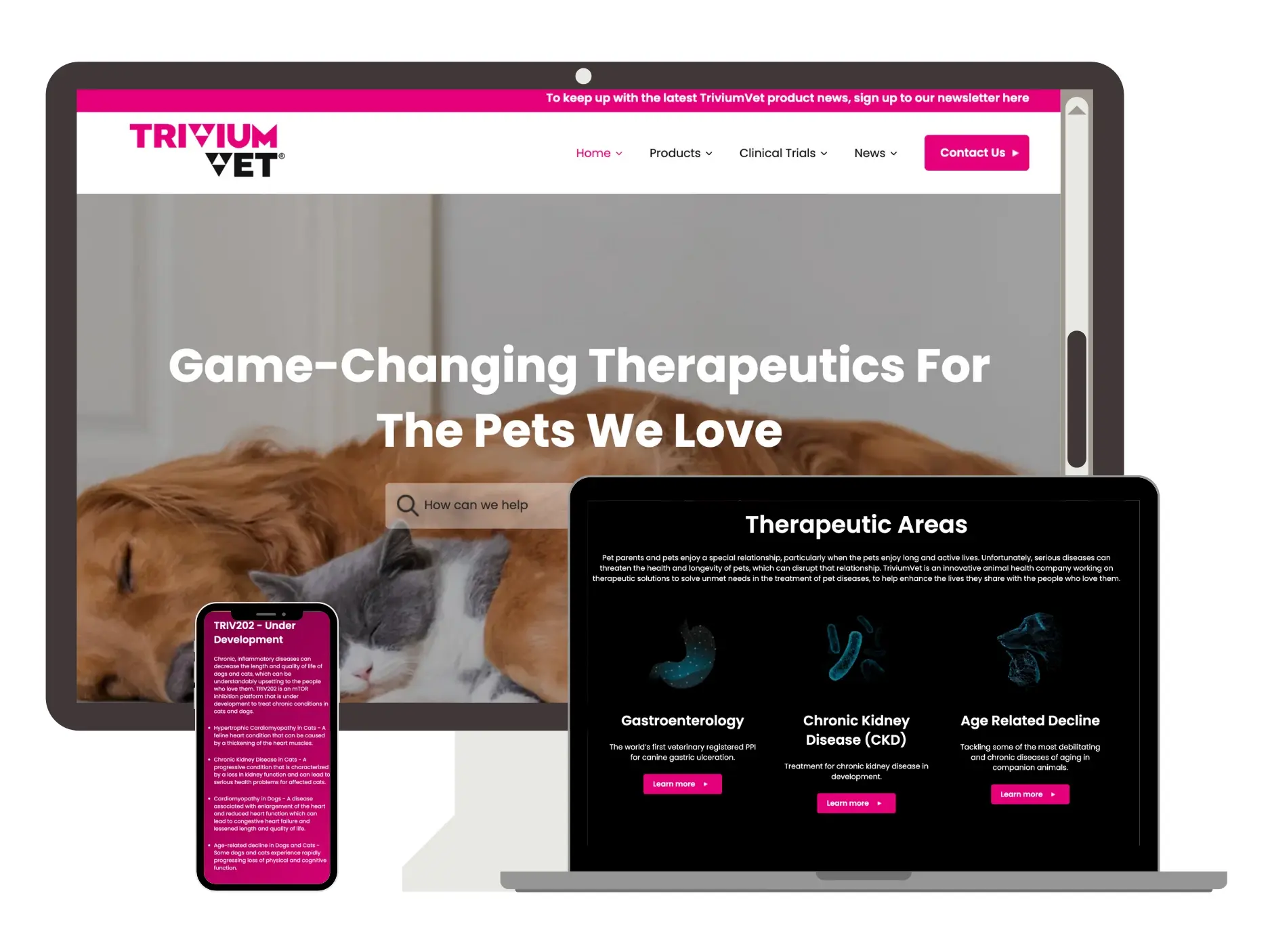 Trivium Vet Website Mock Up