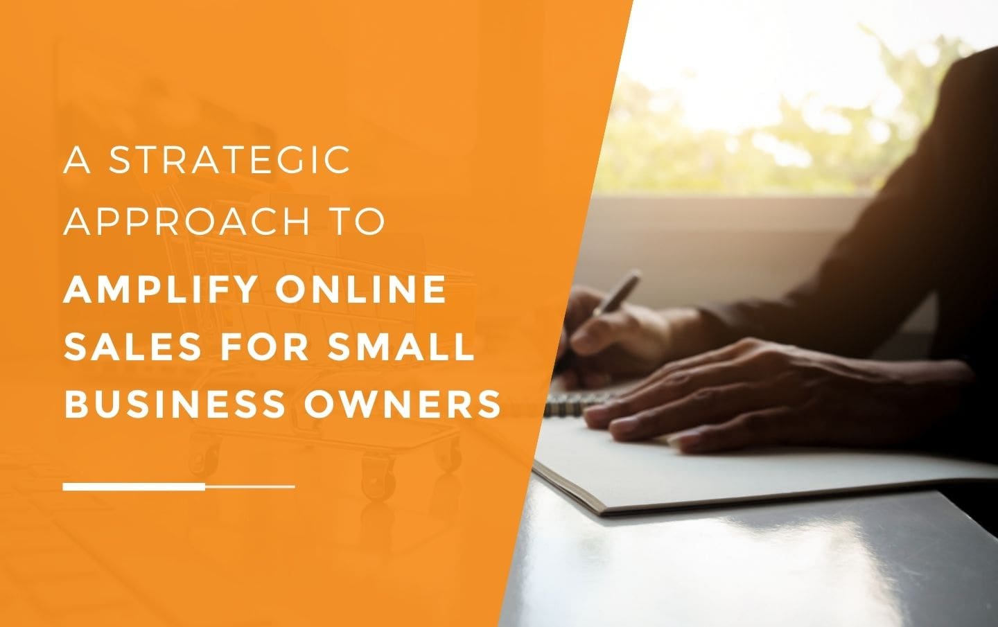 A small business owner writing a strategy to amplify the online sales of their wholesale business