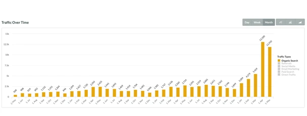 Ecommerce website growth in Organic Traffic-1