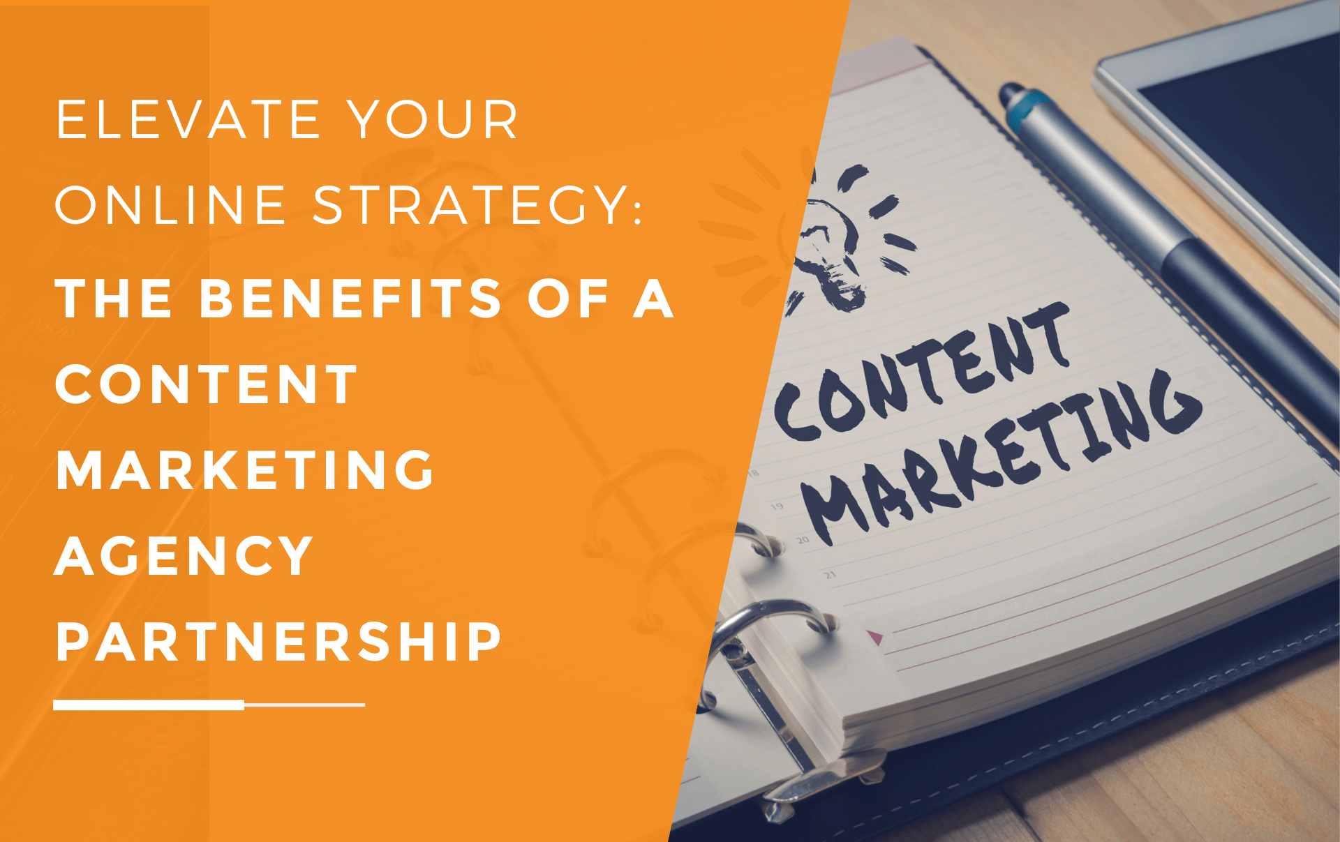 A business that has partnered with a content marketing agency to elevate their brand and generate new leads by utilising a transformative online strategy.