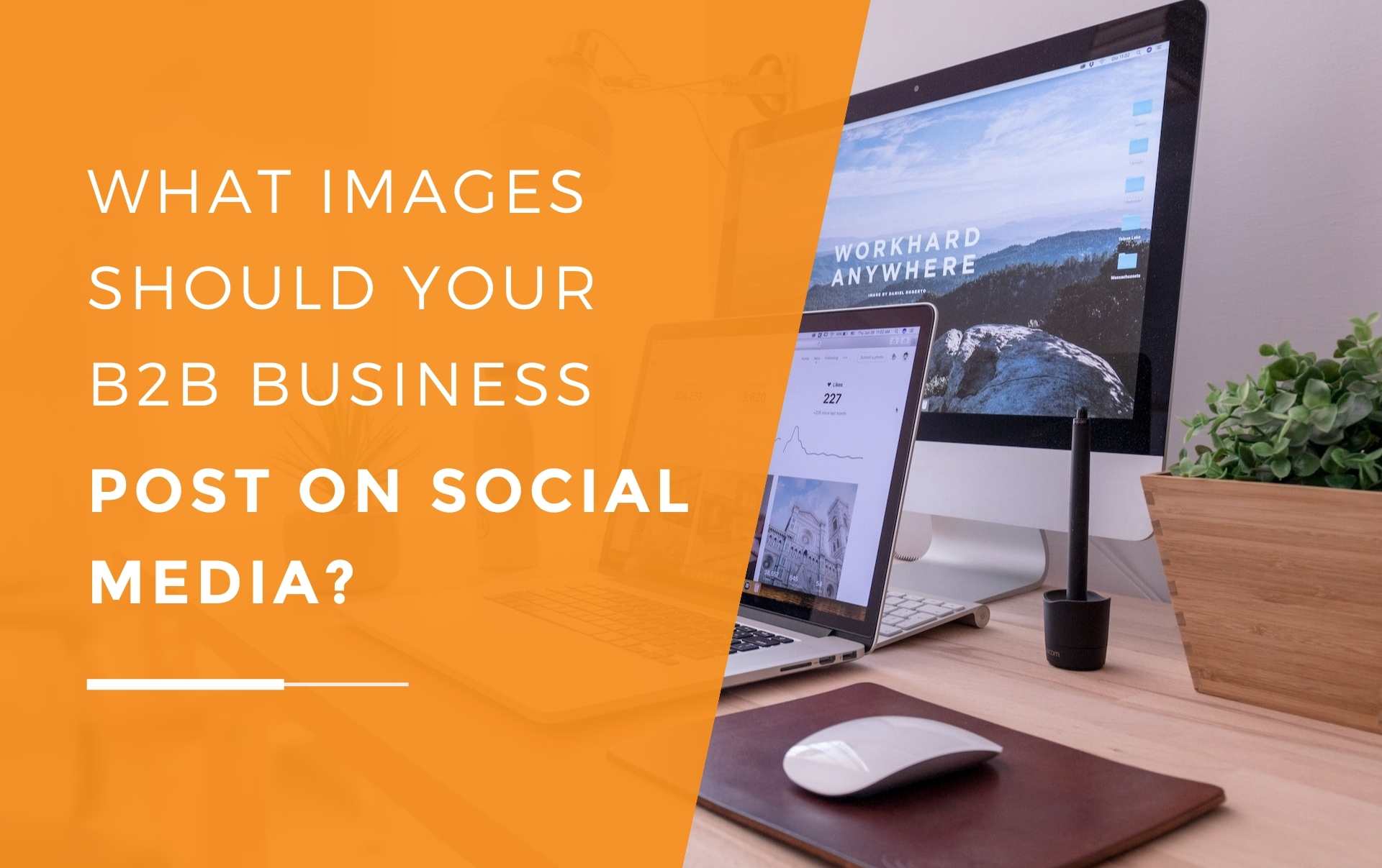 The laptop and desktop of a B2B business owner on a desk with a waterbottle and plant both with high quality images on the screens as the business owner chooses the best image to post on social media